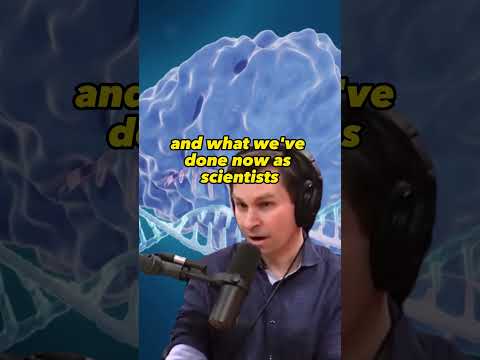 CRISPR Explained: Gene Editing Made Simple | Joe Rogan &amp; David Sinclair #JRE #1234